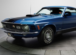 Niebieski, Ford Mustang, Wystawa