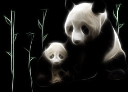 Misie, Panda, Fractalius