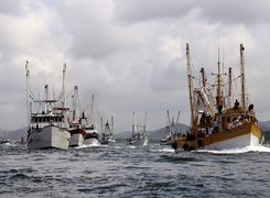 Port Of Mazatlan, Meksyk, Statki, Woda