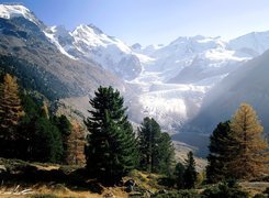 Engadine, Szwajcaria, Ośnieżone, Góry, Drzewa