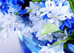 Białe, Niebieskie, Kwiatki