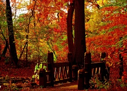 Park, Drzewa, Mostek, Jesień