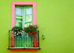 Balkon, Kwiaty, Pelargonia