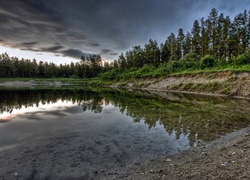 Jezioro, Brzeg, Drzewa