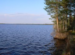 Brzeg, Jeziora, Drzewa