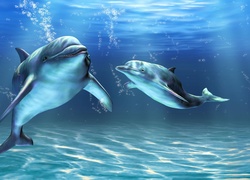Głębiny, Morskie, Dwa, Delfiny
