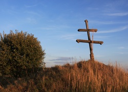 Przydrożny, Krzyż, Trawy