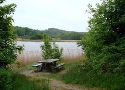 Jezioro, Ławeczka, Drzewa