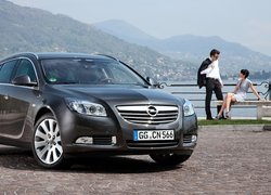 Szary, Opel Insignia, Góry