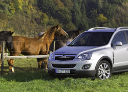 Opel Antara, Koń, Zieleń