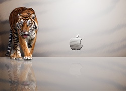 Tygrys, Logo, Apple