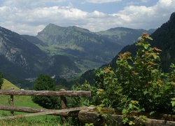 Au Vorarlberg, Austria, Zagroda, Rośliny