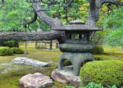 Drzewa, Kamienie, Park, Japonia