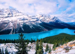 Góry, Jezioro, Peyto Lake, Opadająca, Drzewa, Śnieg, Park Narodowy Banff, Prowincja Alberta, Kanada
