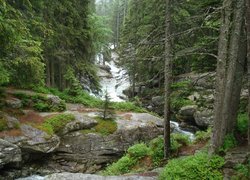 Tatry, Słowacja, Potok Studencki