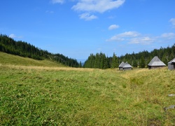 Łąka, Zakopane, Bacówka