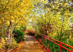 Park, Droga, Czerwona, Poręcz, Jesień