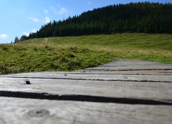 Zakopane, Łąka, Deski, Las