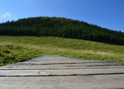 Zakopane, Łąka, Mostek, Drewniany