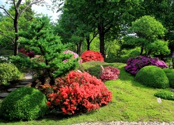 Ogród, Piękne, Kwitnące, Krzewy, Drzewa