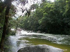 Rzeka, Kamienie, Drzewa, Mossman, Australia