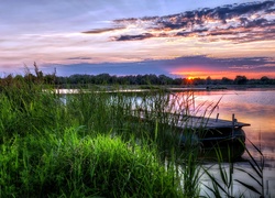 Szuwary, Jezioro, Zachód, Słońca