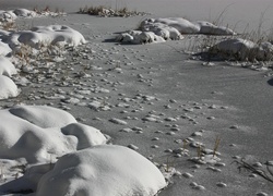 Lód, Śnieg, Zamarznięte, Jezioro