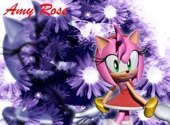 Amy Rose, Sonic