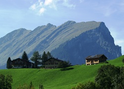 Kanisfluh, Austria, Łąka, Domy