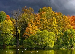 Rzeka, Drzewa, Kaczki, Jesień