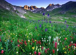 Góry, Łąka, Kolorowe, Kwiaty