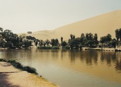 Jeziorko, Drzewa, Oaza, Peru