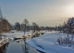 Rzeka, Śnieg, Drzewa, Zima