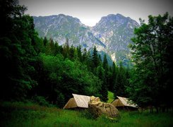 Krajobraz, Góry, Tatry, Dolina, Strążyska, Szałasy, Las