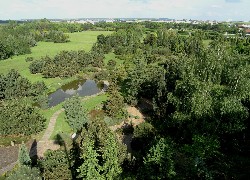 Park, Dendrologiczny, Panorama