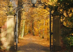 Park, Drzewa, Liście, Brama, Jesień