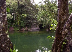Rzeka, Drzewa, Kamienie, Babinda, Australia