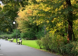 Park, Drzewa, Alejka, Ławki