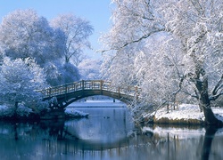 Rzeka, Most, Drzewa, Zima