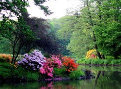 Wiosna, Park, Woda, Rododendrony