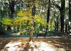 Jesienny, Park, Ławka