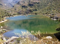 Jezioro, Zalesione, Góry, Wenezuela