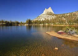 Stany Zjednoczone, Stan Kalifornia, Park Narodowy Yosemite, Jezioro, Góra Cathedral Peak, Drzewa