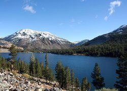 Stany Zjednoczone, Stan Kalifornia, Park Narodowy Yosemite, Jezioro, Drzewa, Góry