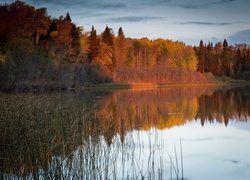 Jezioro, Lasy, Jesień