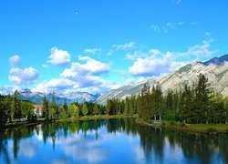 Rzeka, Góry, Drzewa, Alberta, Kanada
