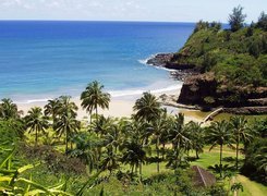 Morze, Ogród, Palmy, Kauai, Hawaje