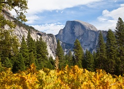 Stany Zjednoczone, Stan Kalifornia, Park Narodowy Yosemite, Jesień, Góry, Drzewa