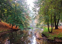 Strumyk, Park, Mgła