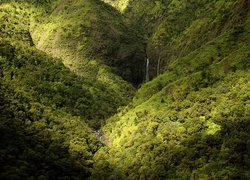 Wodospad, Góry, Las, Kauai, Hawaje